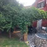 Morpheus